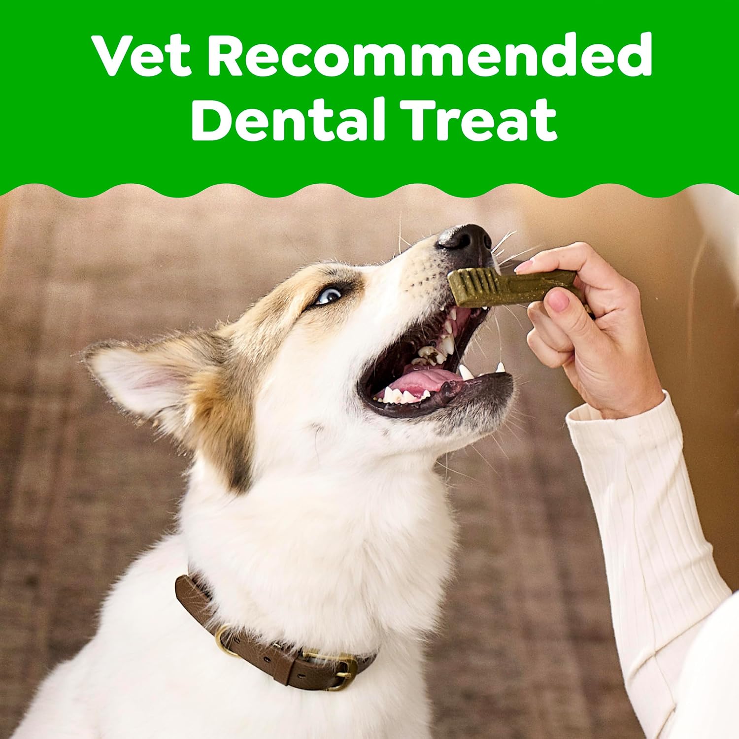 Greenies Dental Treats photo 2