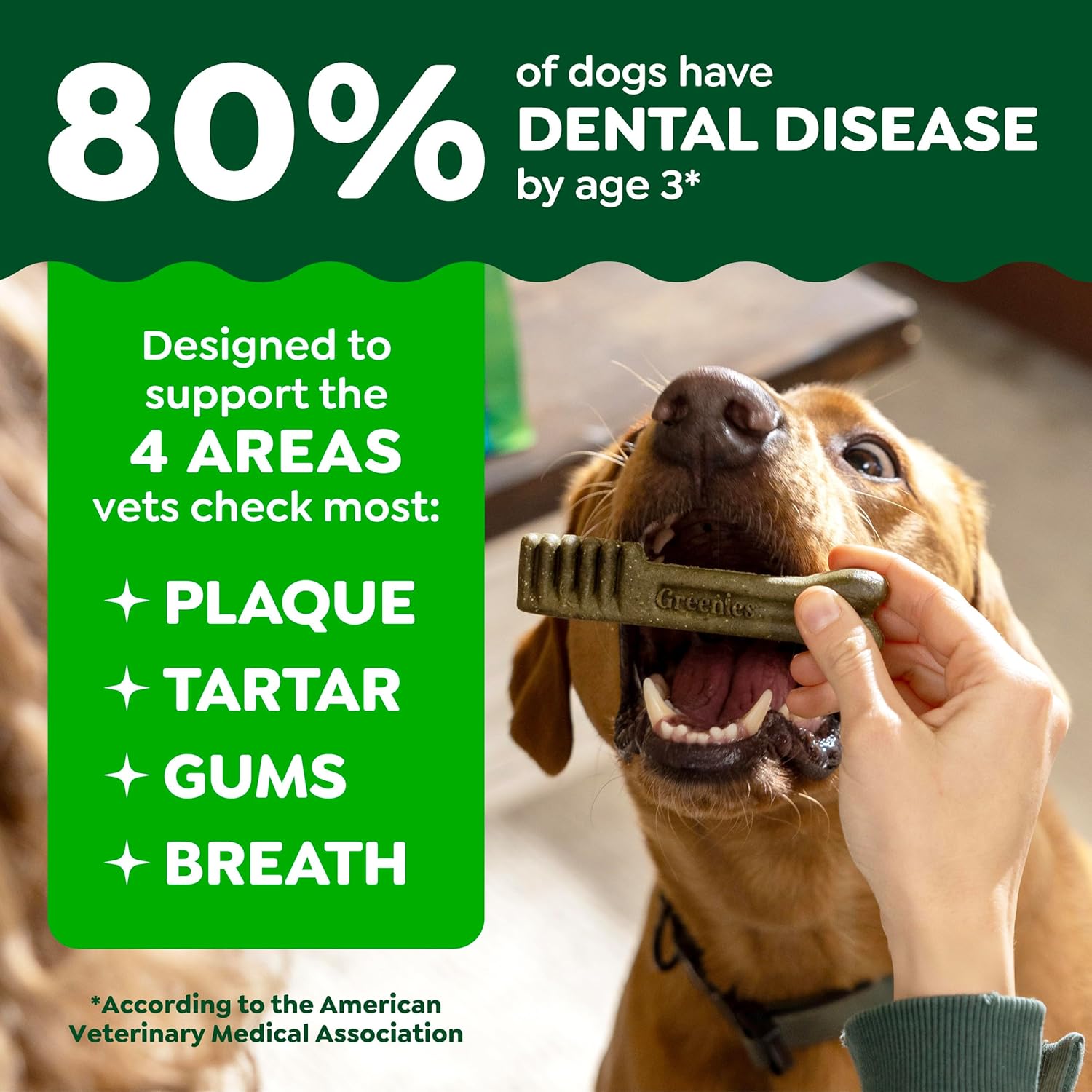 Greenies Dental Treats photo 3