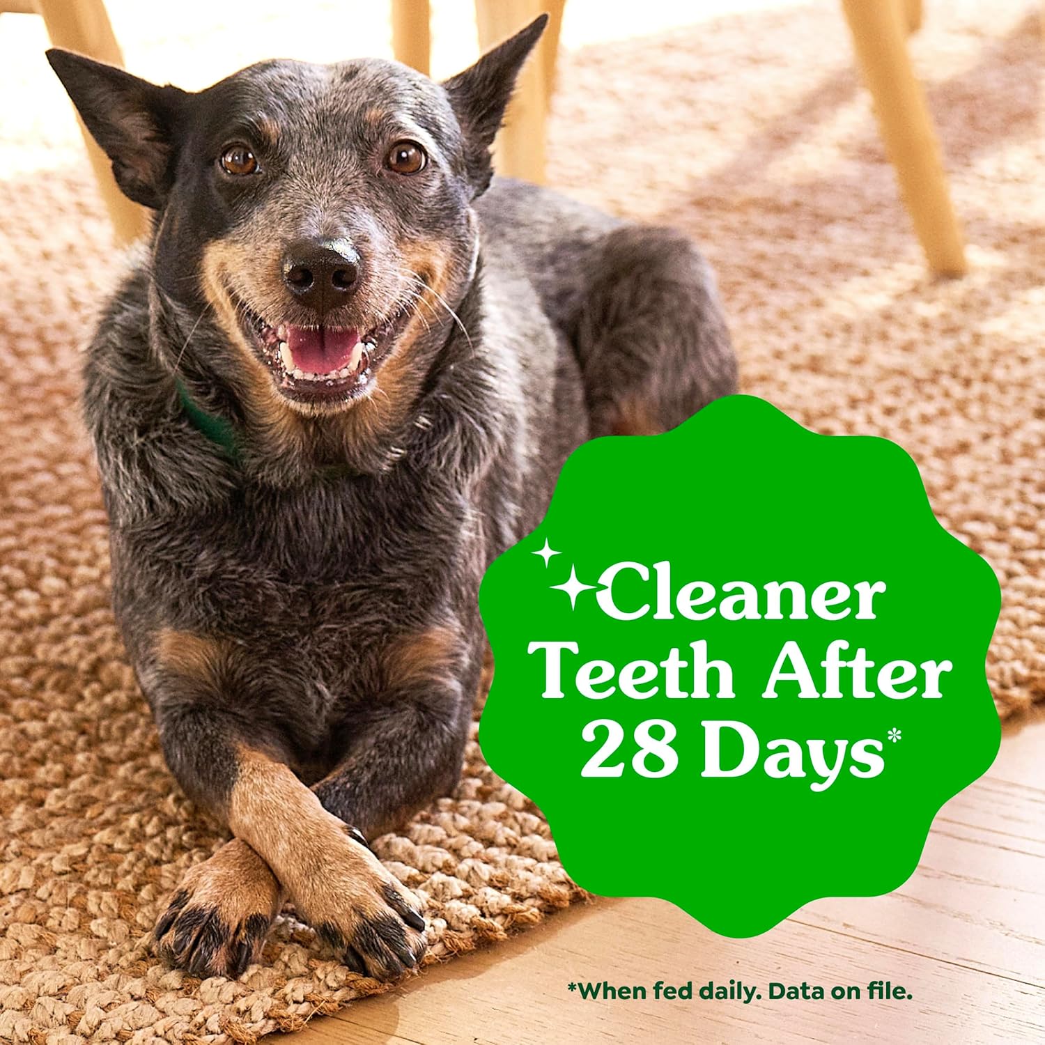 Greenies Dental Treats photo 4