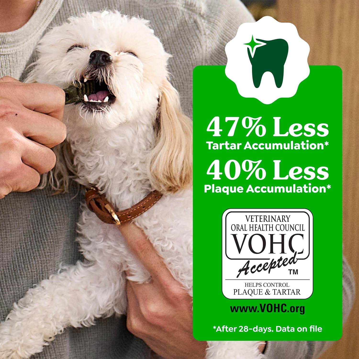 Greenies Dental Treats photo 5