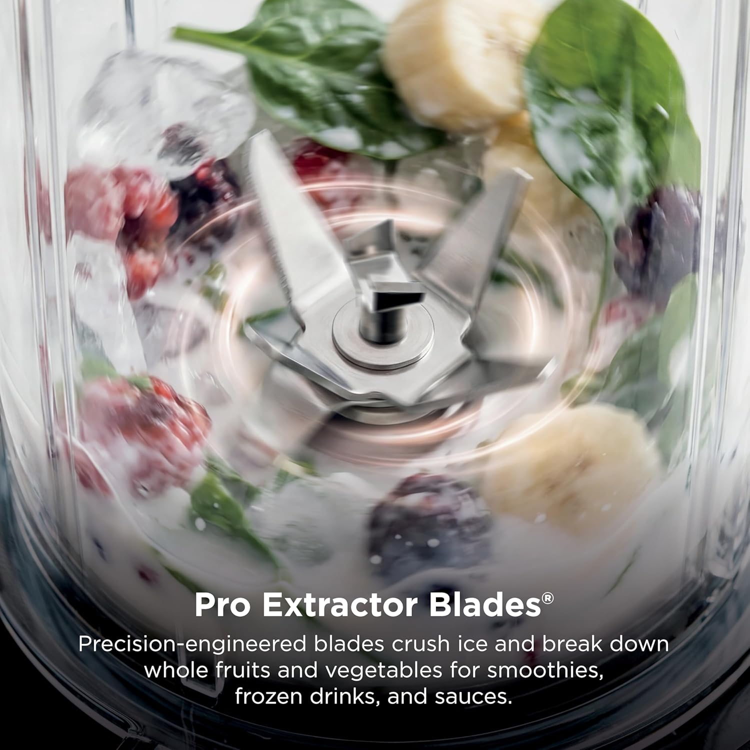 Ninja Nutri-Plus Personal Blender 900W photo 5