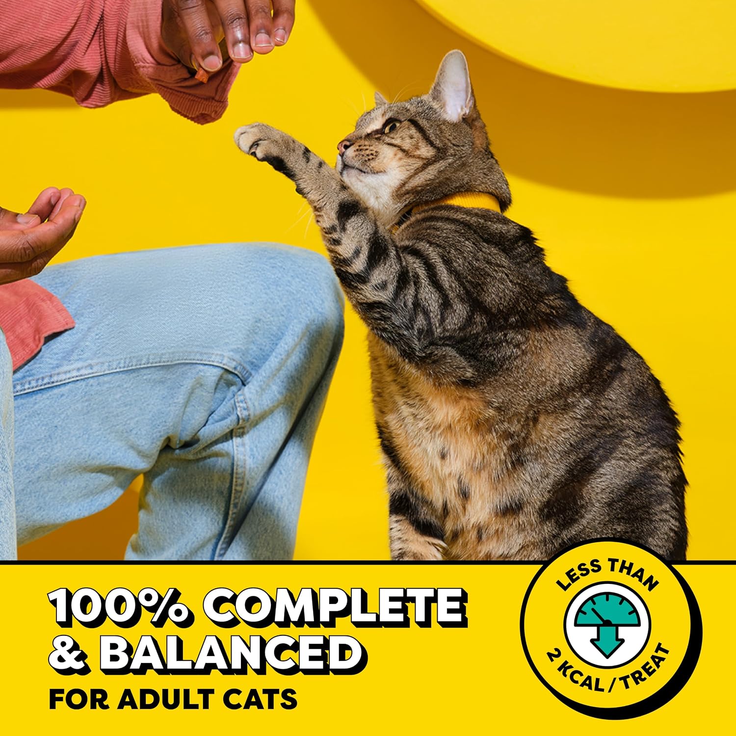 Temptations Cat Treats 30oz photo 3