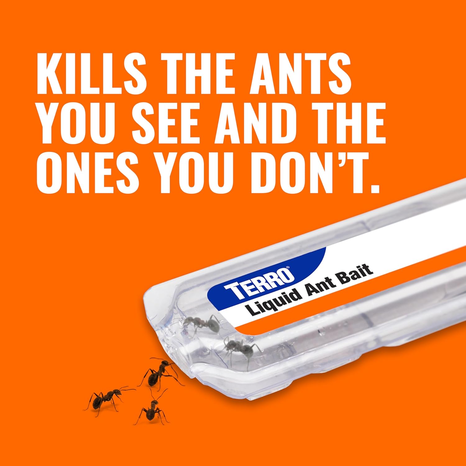 Terro Ant Killer Bait Stations photo 4